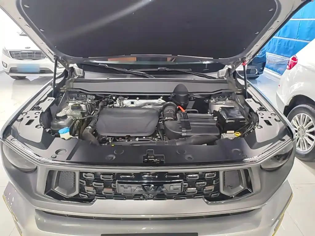 Haval Big Dog PLUS New Energy — фото 20