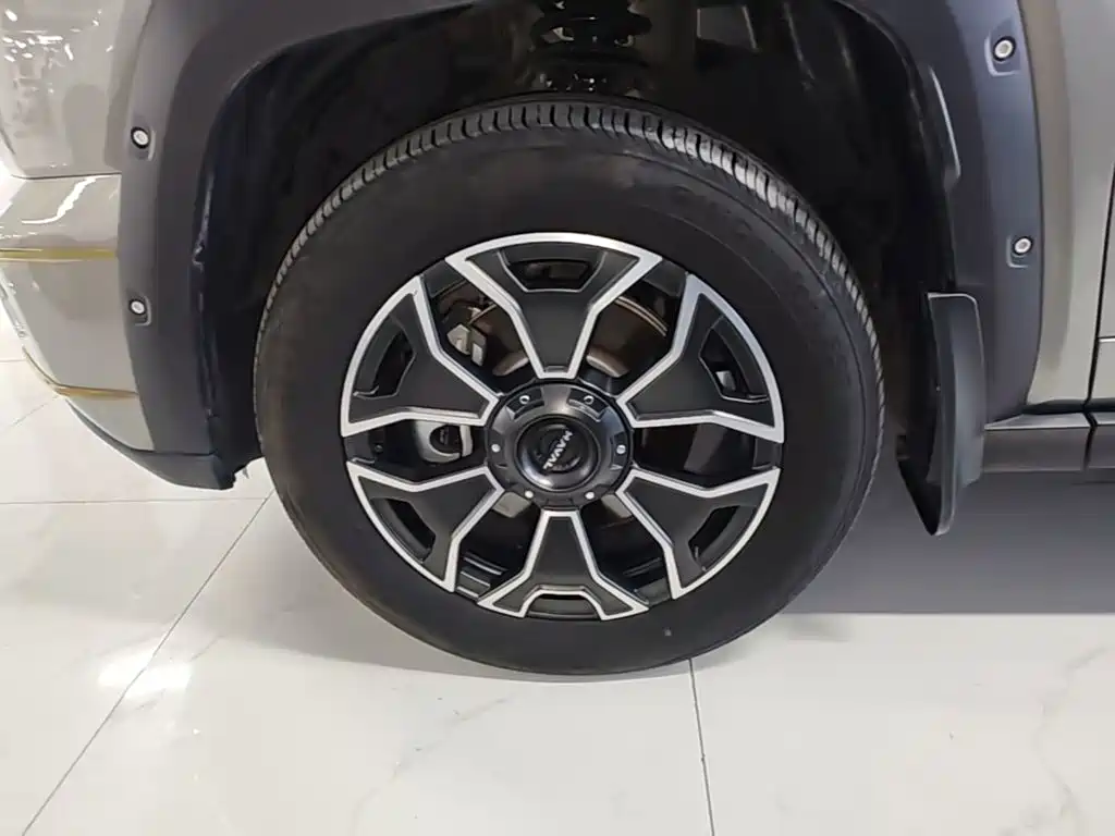 Haval Big Dog PLUS New Energy — фото 23