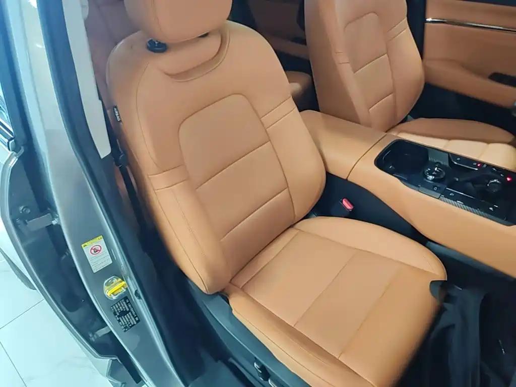 Haval Big Dog PLUS New Energy — фото 25