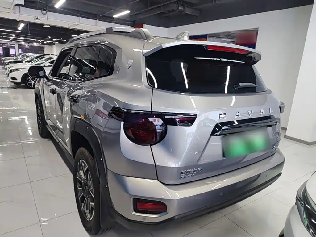 Haval Big Dog PLUS New Energy — фото 5