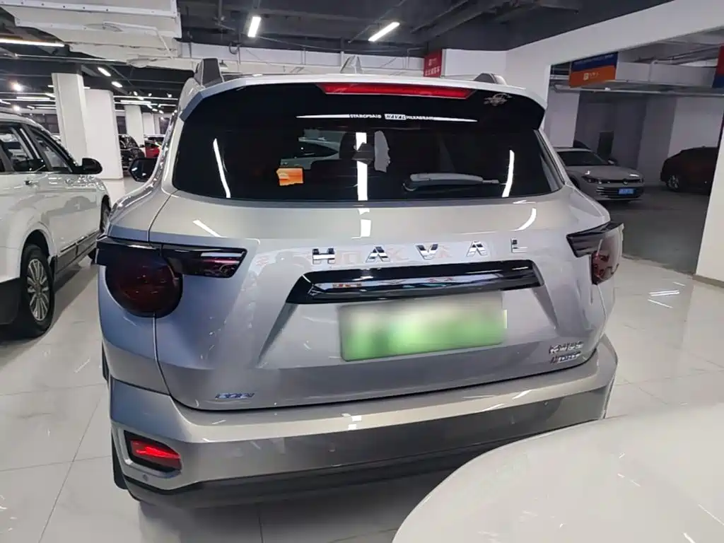 Haval Big Dog PLUS New Energy — фото 6