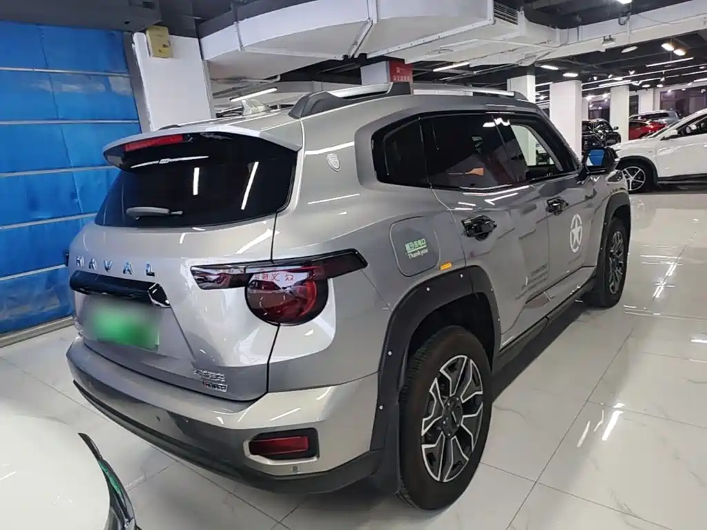 Haval Big Dog PLUS New Energy — фото 7