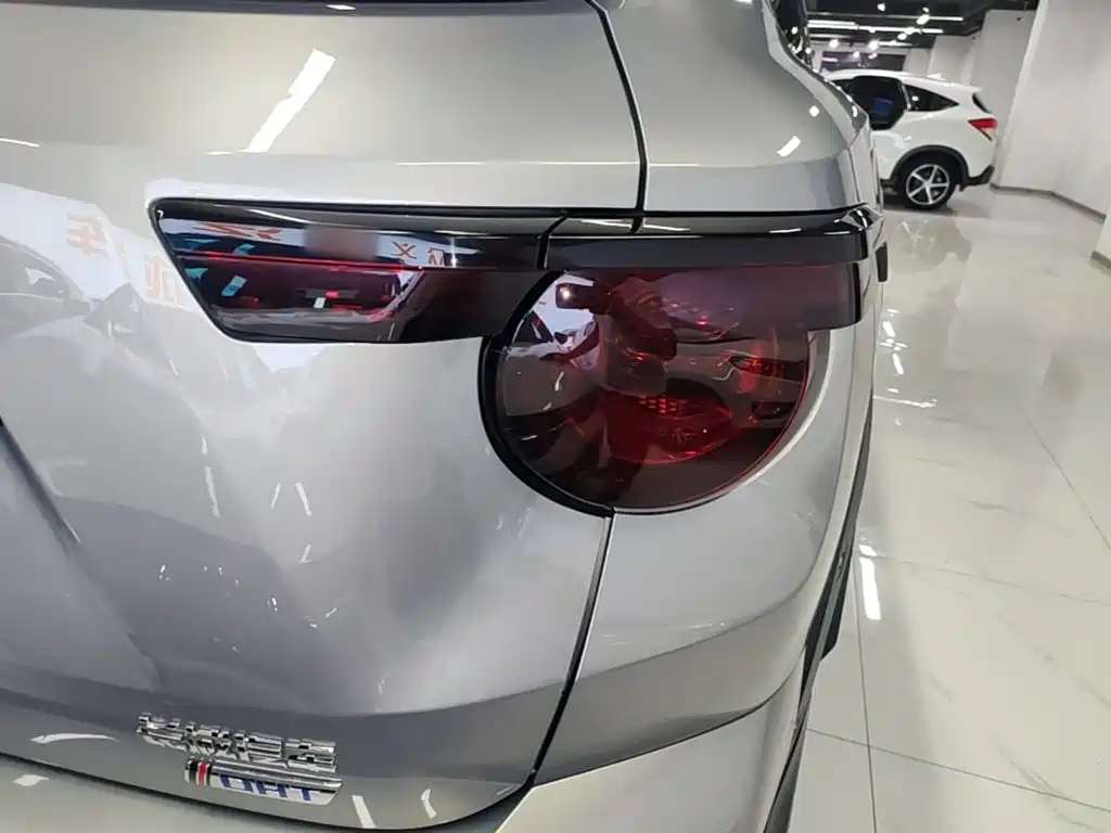 Haval Big Dog PLUS New Energy — фото 8