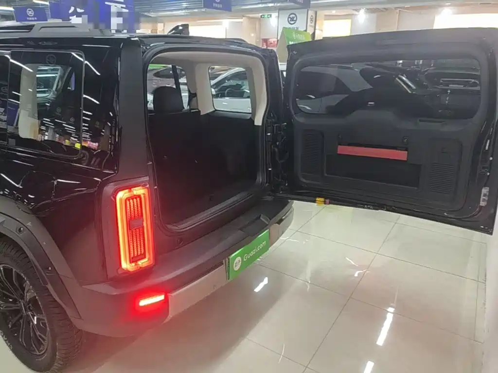 Haval Menglong New Energy — фото 19