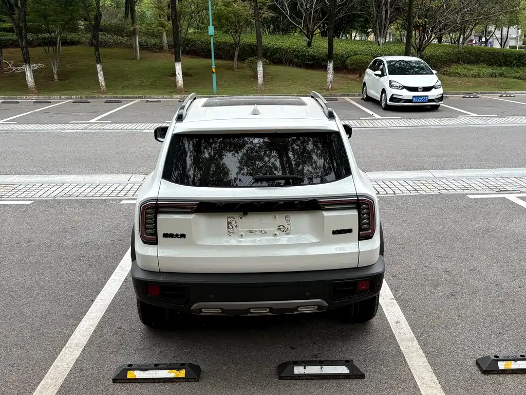 Haval Big Dog — фото 14