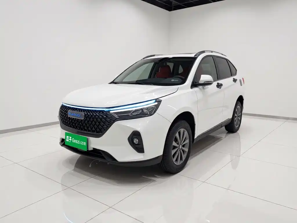 Haval M6