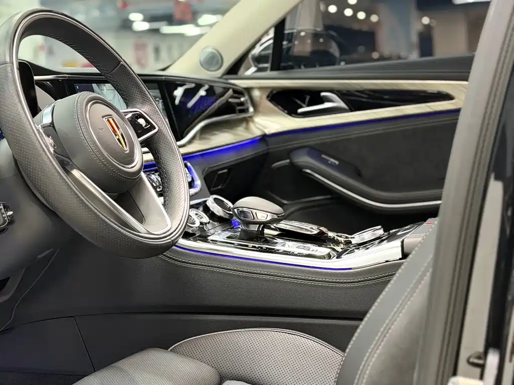 Hongqi Hongqi H9 — фото 21