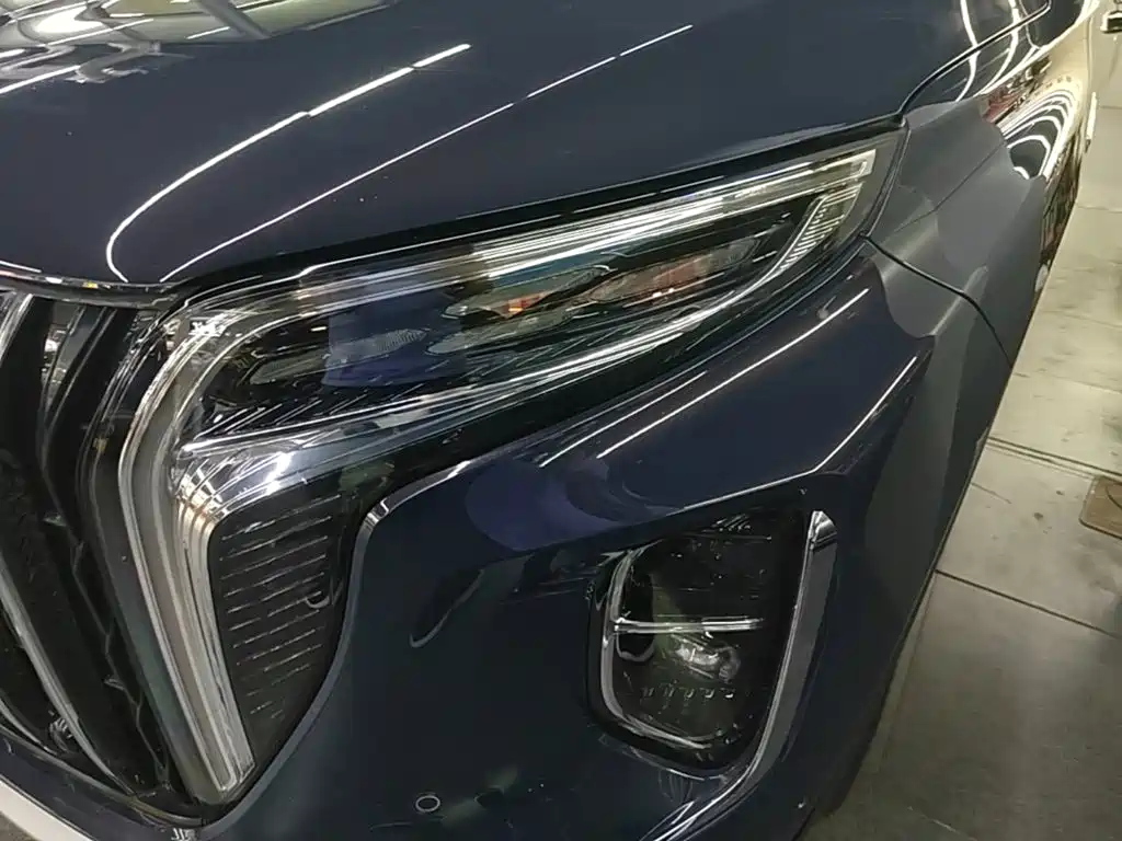 Hongqi Hongqi HS7 — фото 24