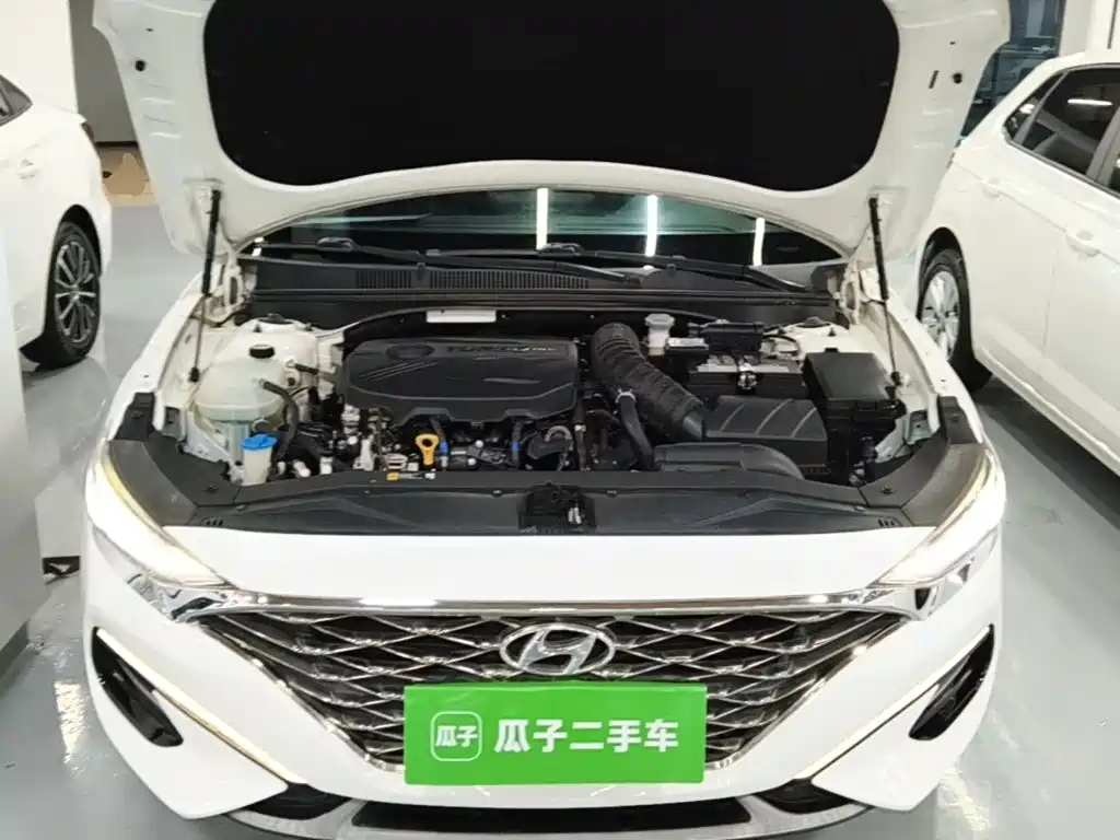 Hyundai Fista — фото 16