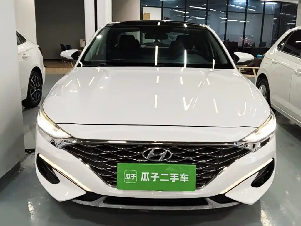 Hyundai Fista — фото 3