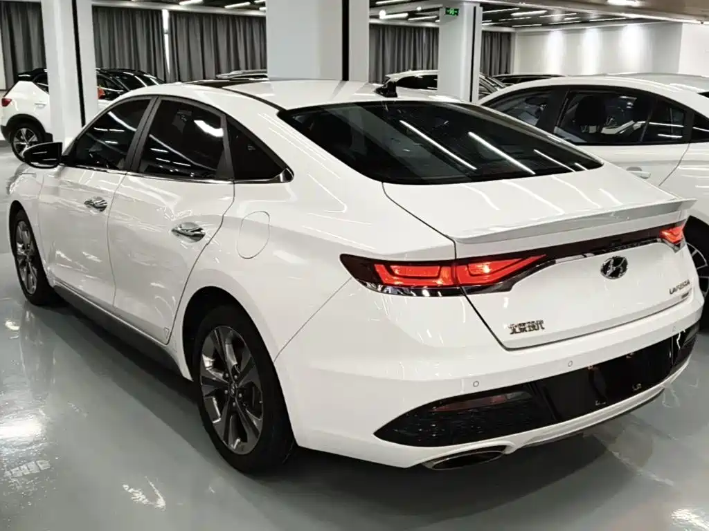 Hyundai Fista — фото 23