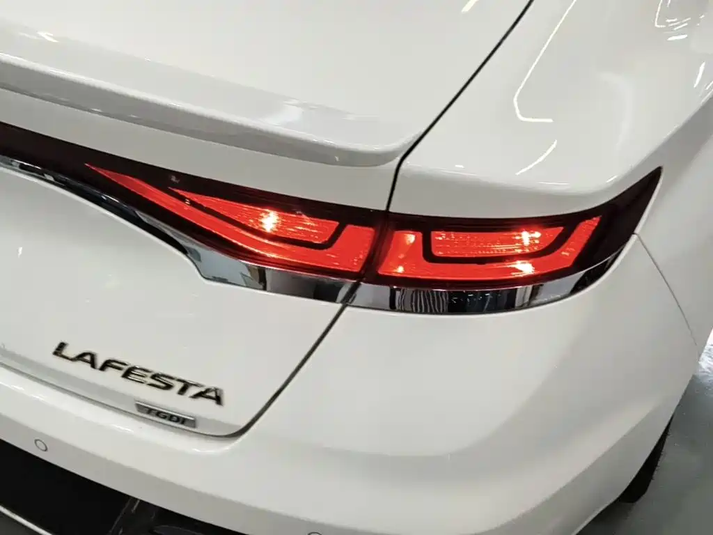 Hyundai Fista — фото 24
