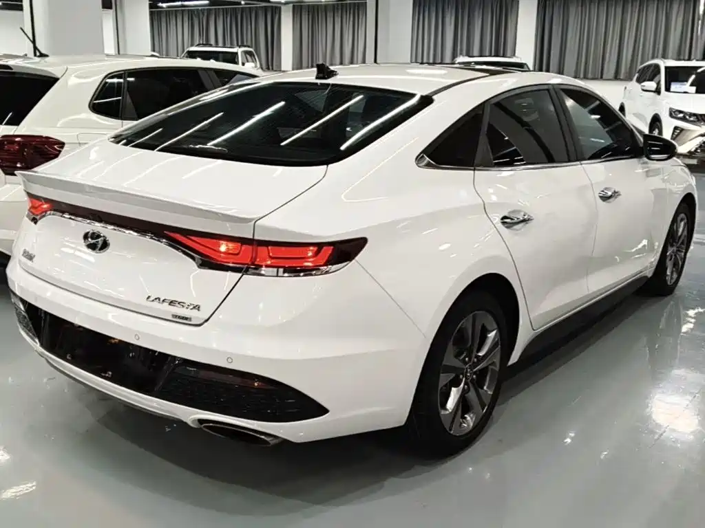 Hyundai Fista — фото 5