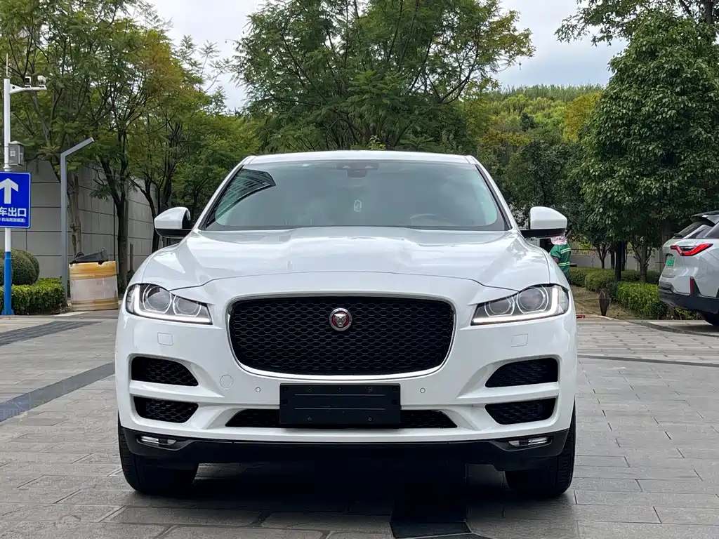 Jaguar F-PACE — фото 2