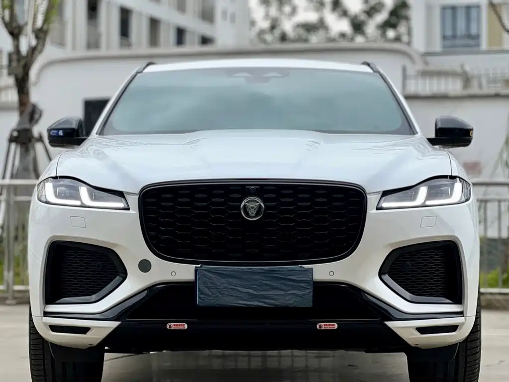 Jaguar F-PACE — фото 2