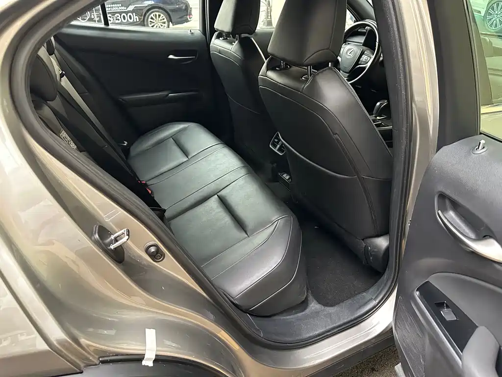 Lexus UX New Energy — фото 18