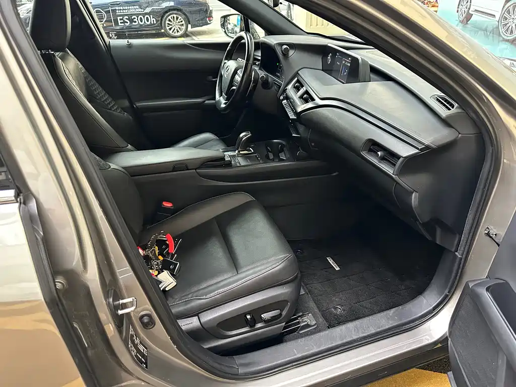 Lexus UX New Energy — фото 19
