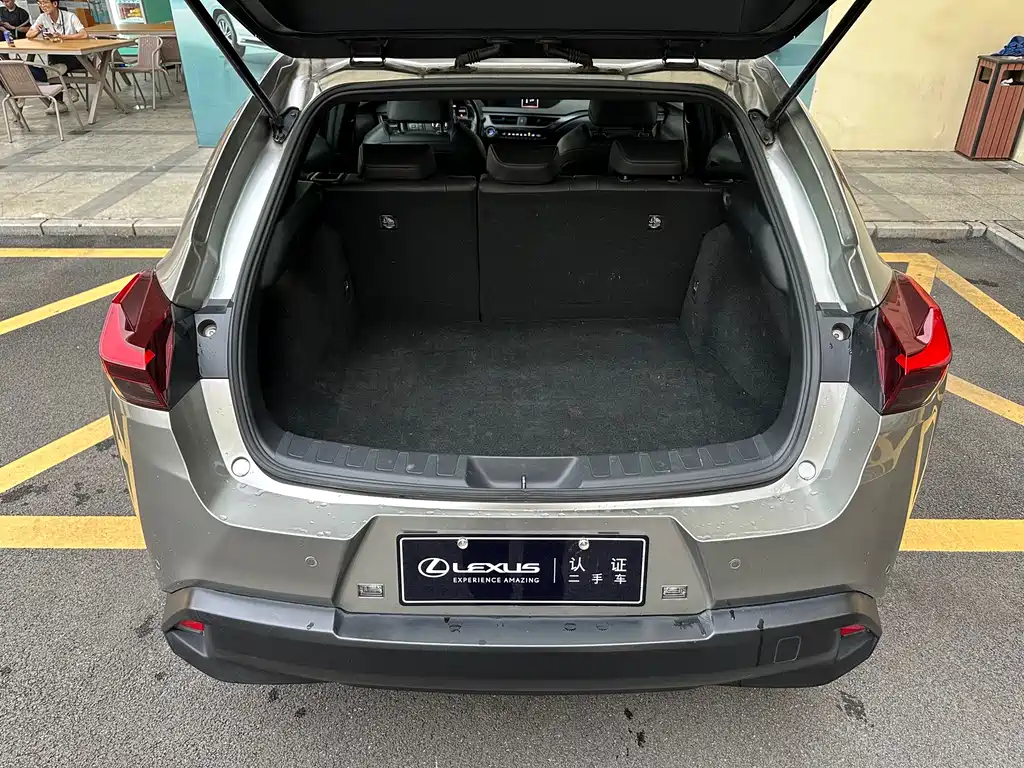 Lexus UX New Energy — фото 20