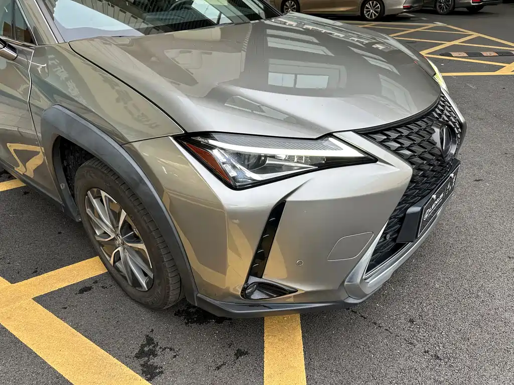 Lexus UX New Energy — фото 3