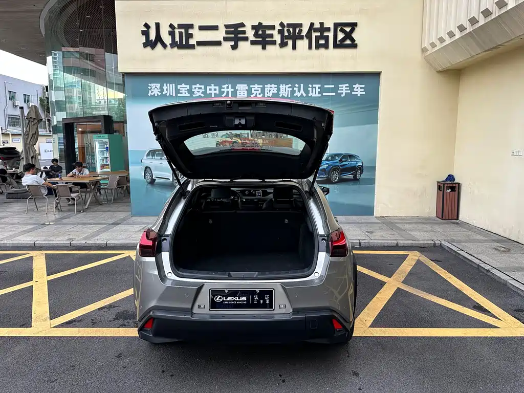Lexus UX New Energy — фото 21