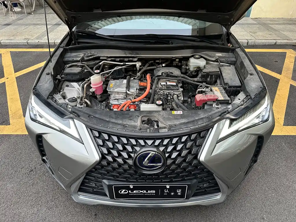 Lexus UX New Energy — фото 4