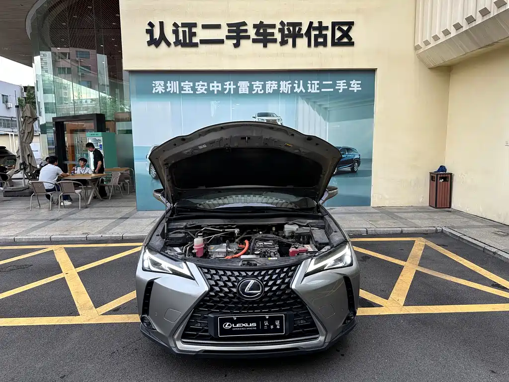 Lexus UX New Energy — фото 5