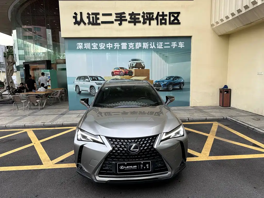 Lexus UX New Energy — фото 6