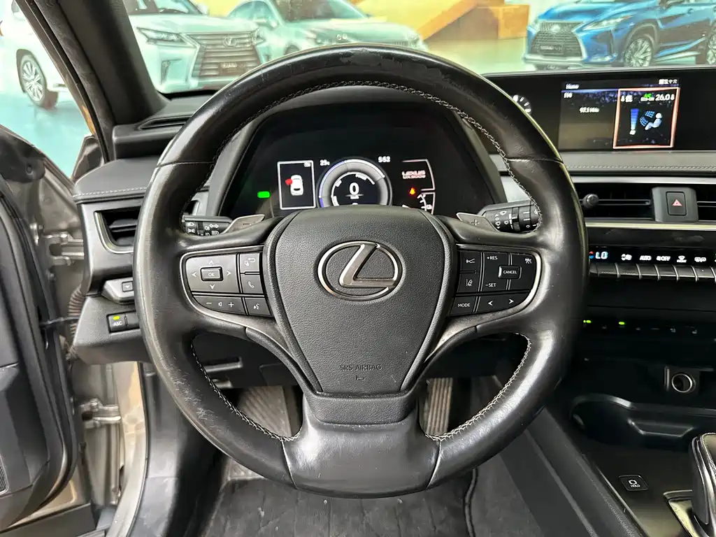 Lexus UX New Energy — фото 8