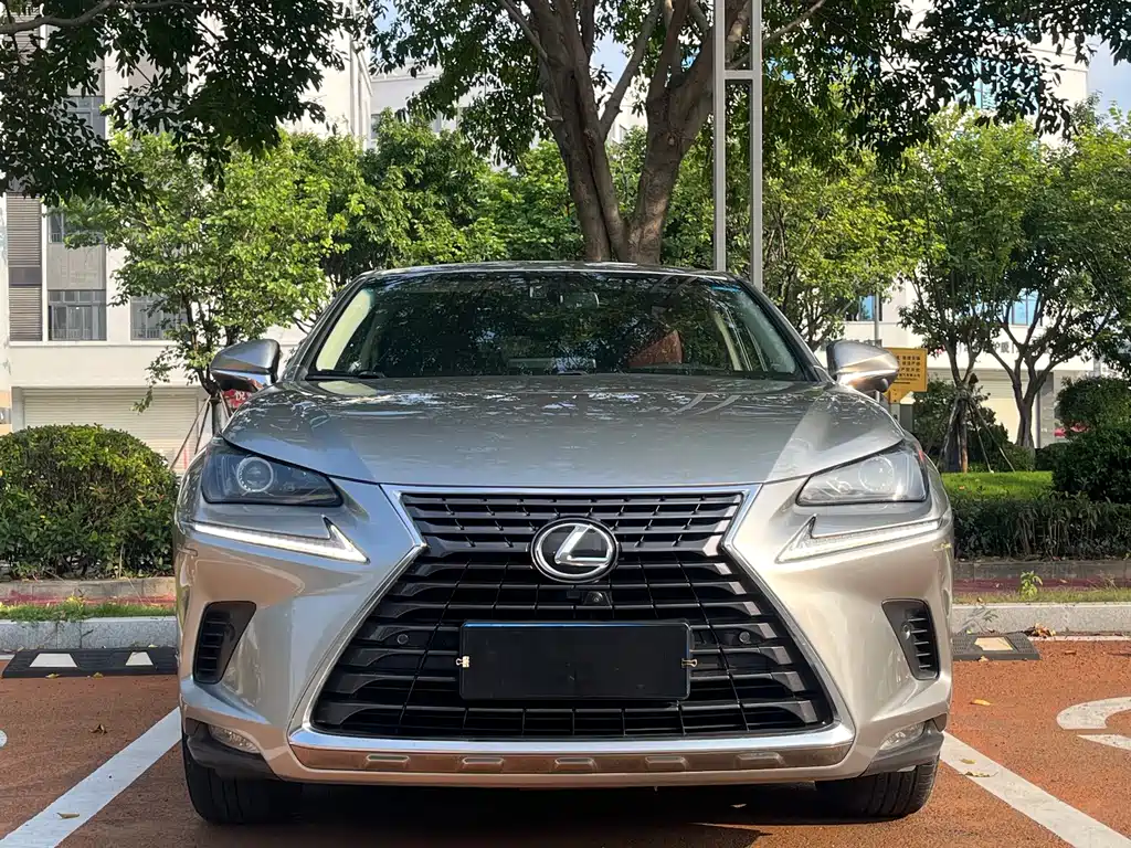 Lexus NX — фото 2