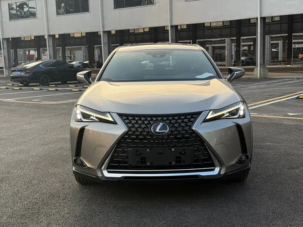 Lexus UX New Energy — фото 2