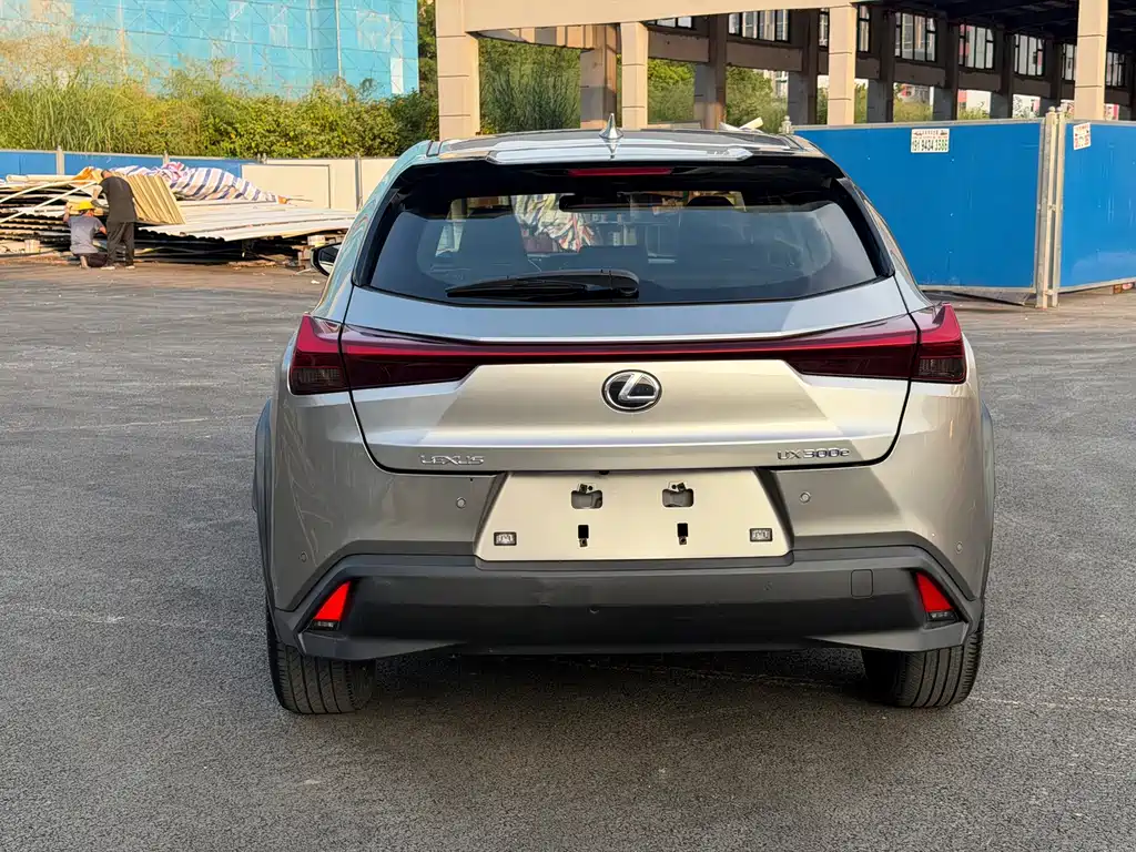 Lexus UX New Energy — фото 11