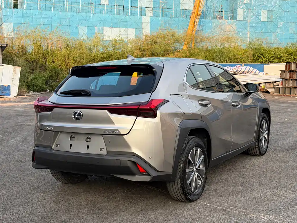 Lexus UX New Energy — фото 13