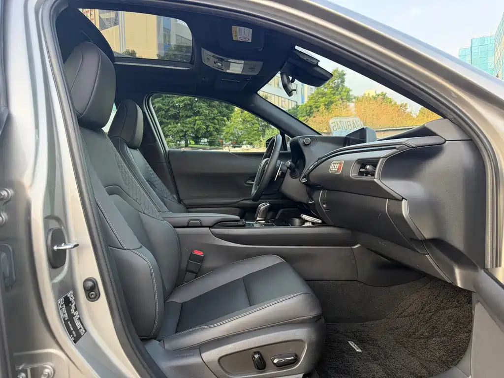 Lexus UX New Energy — фото 10