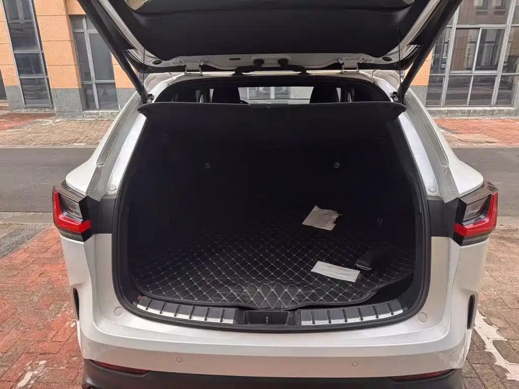 Lexus NX — фото 6