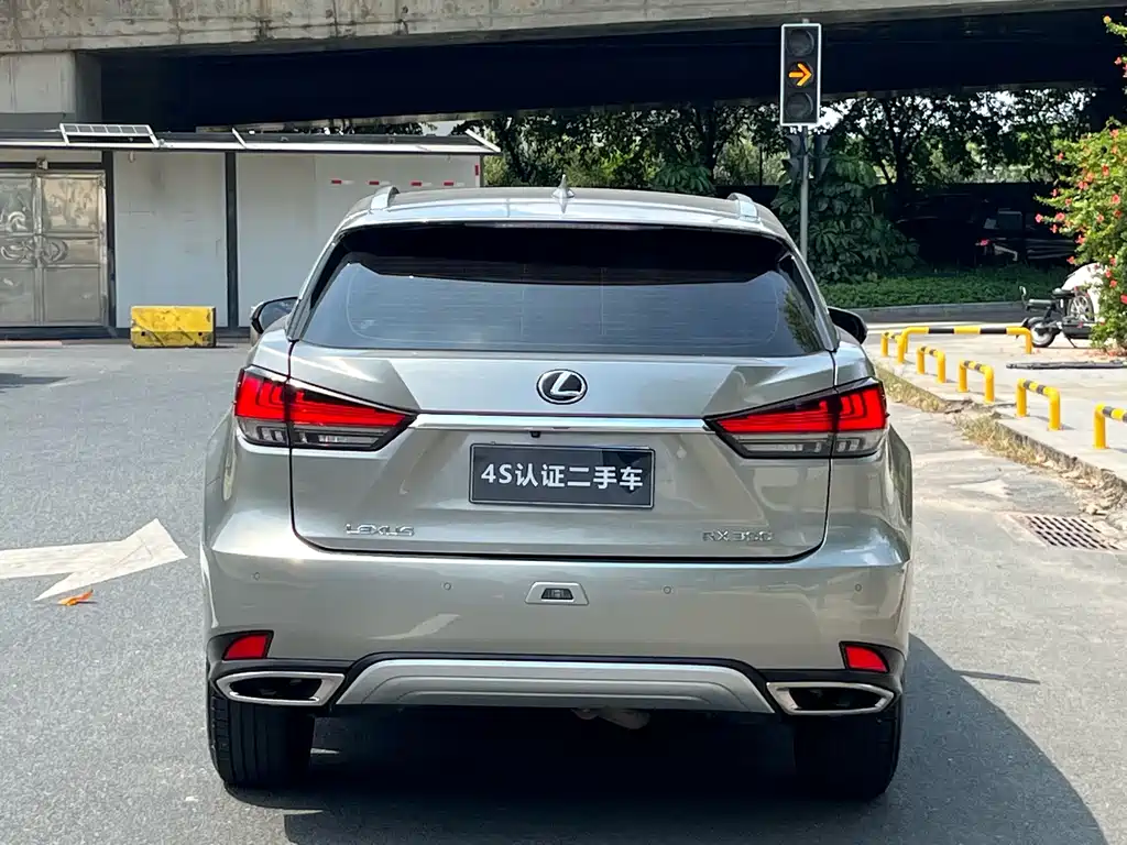 Lexus RX — фото 6