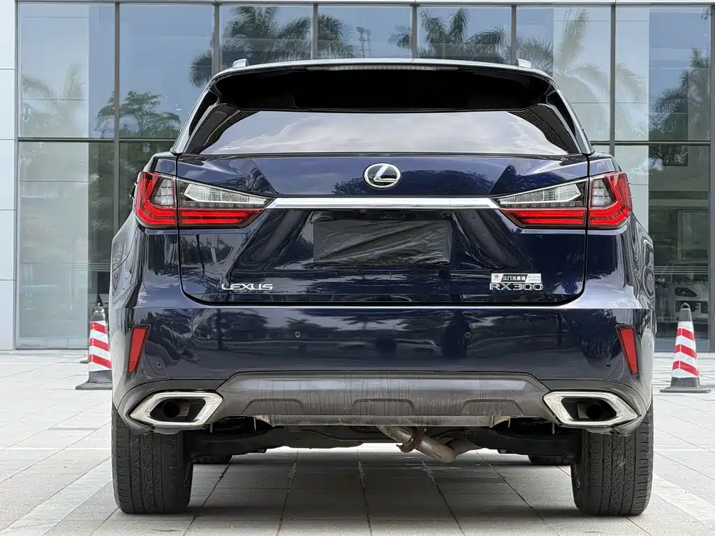 Lexus RX — фото 5