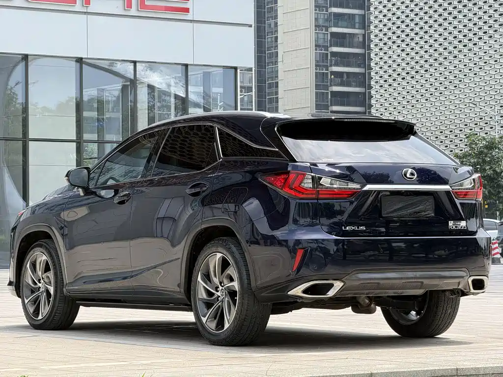 Lexus RX — фото 6