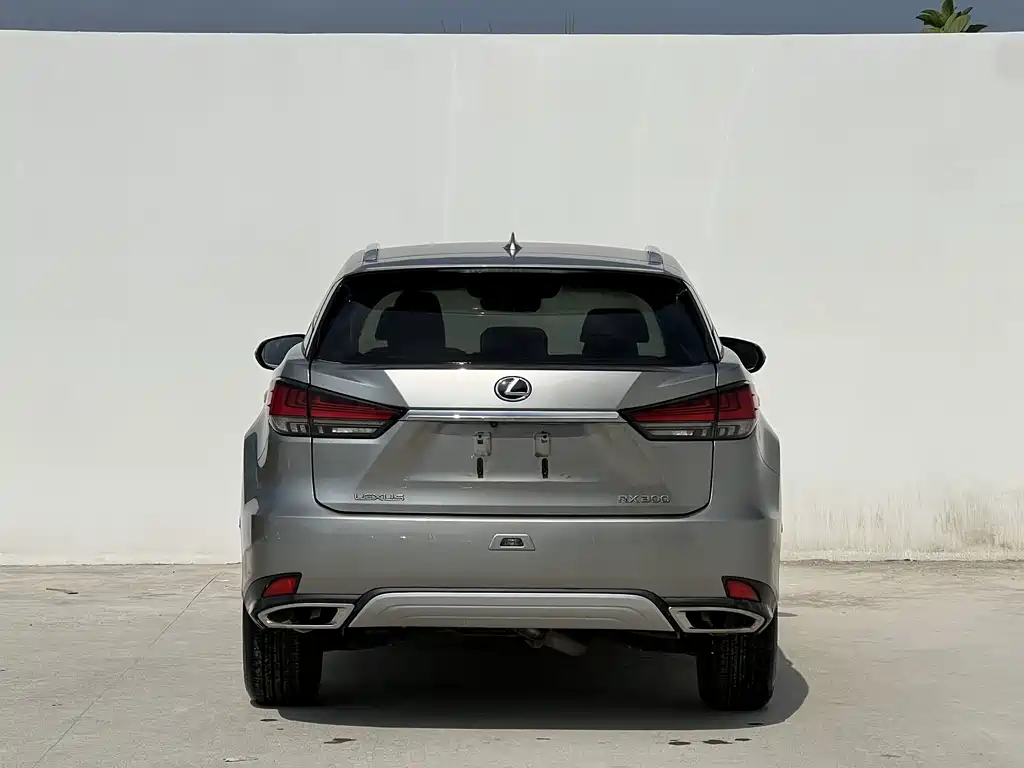 Lexus RX — фото 2