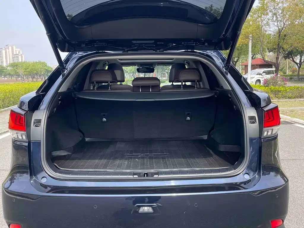 Lexus RX — фото 14