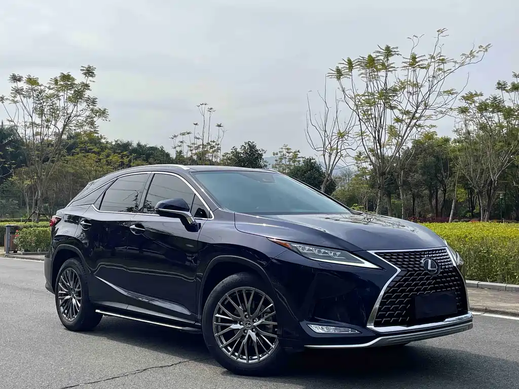Lexus RX — фото 3
