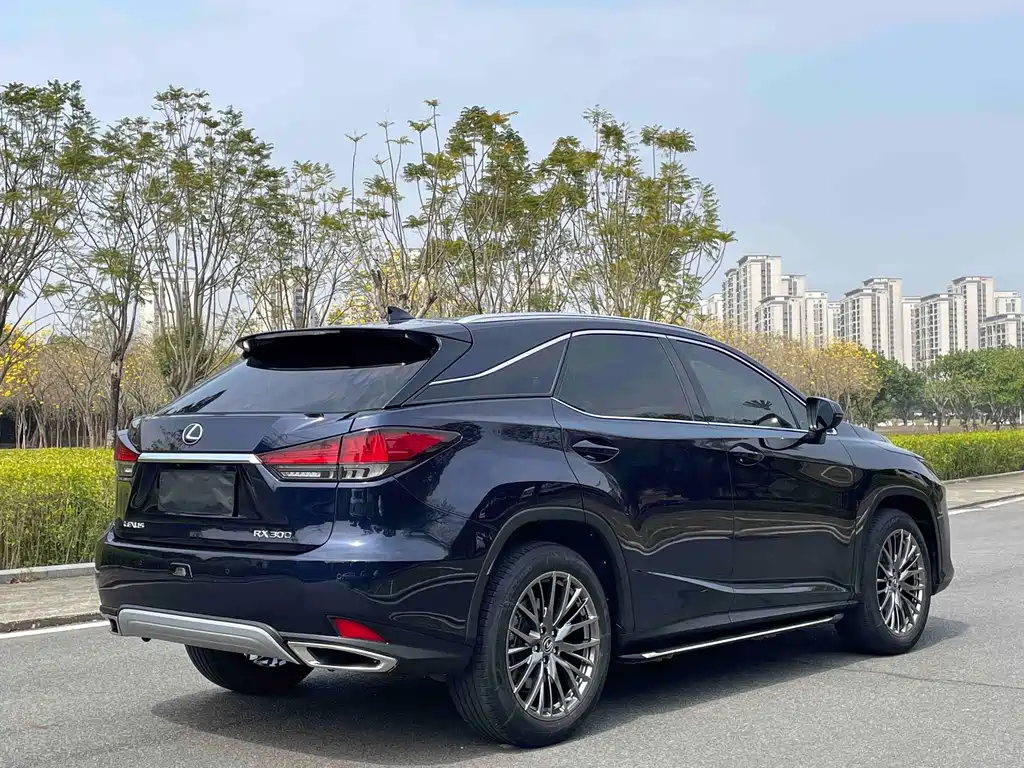 Lexus RX — фото 4
