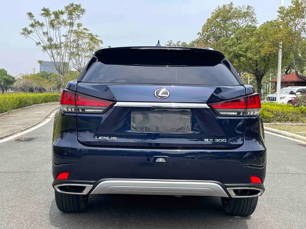 Lexus RX — фото 5