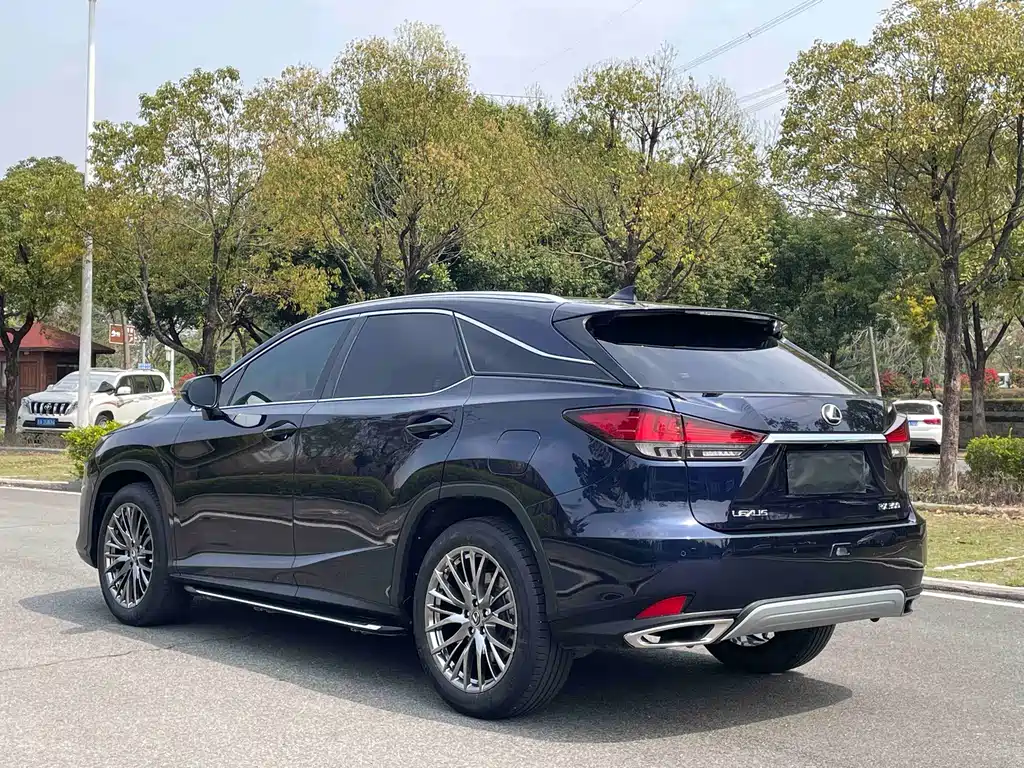 Lexus RX — фото 6