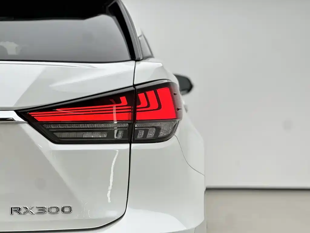 Lexus RX — фото 11