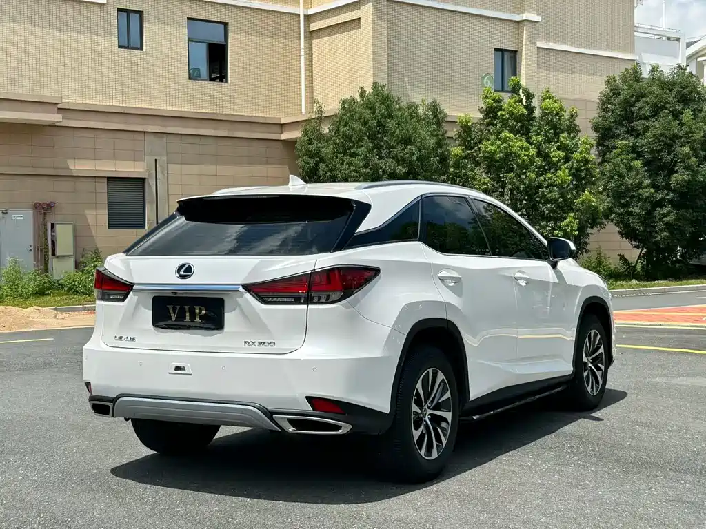 Lexus RX — фото 6