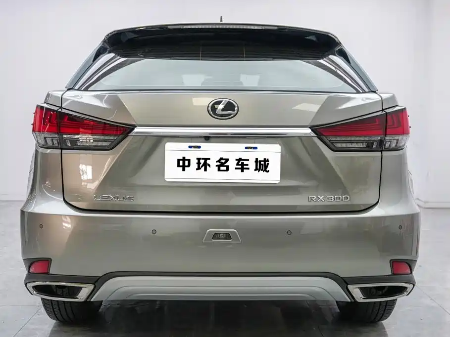 Lexus RX — фото 17