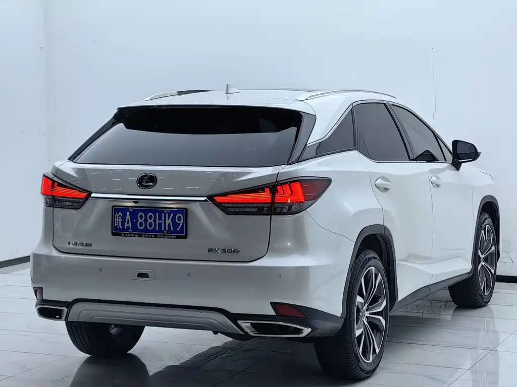 Lexus RX — фото 17