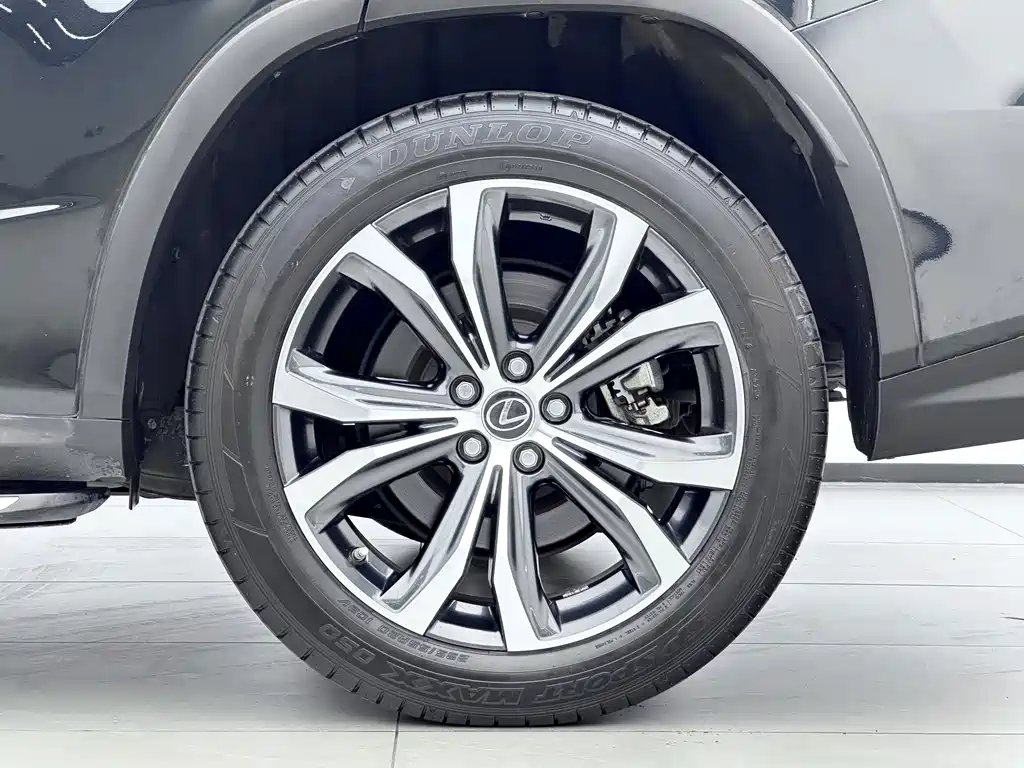 Lexus RX — фото 17