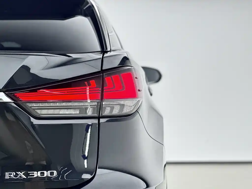 Lexus RX — фото 18
