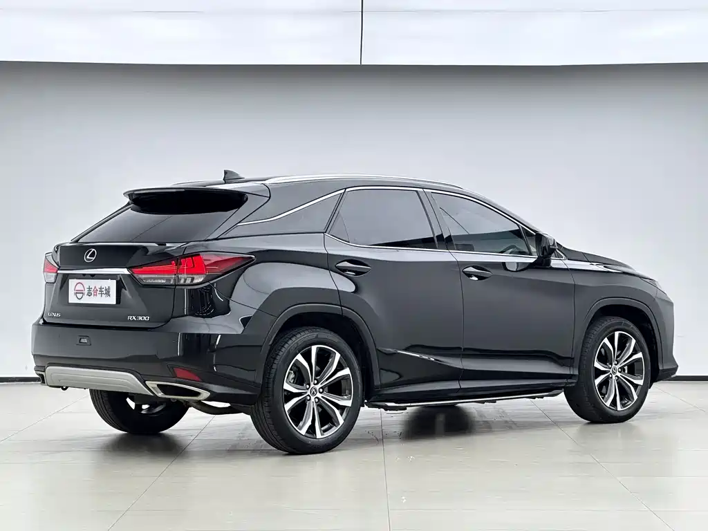 Lexus RX — фото 4
